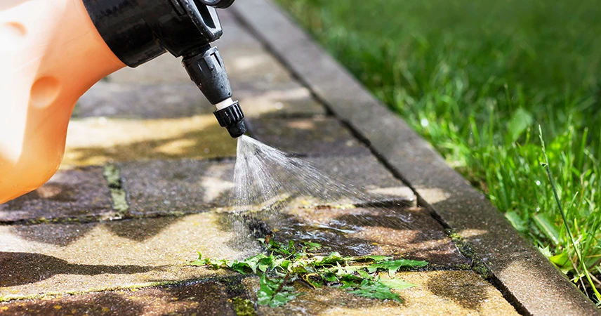 produit pour verdure terrasse sur plot